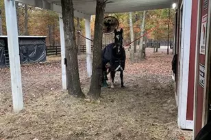 11 Princeton Ave, Egg Harbor Township, NJ 08234 - Photo 2