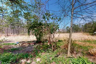 4814 Green Ash Ln, Mays Landing, NJ 08330 - Photo 36