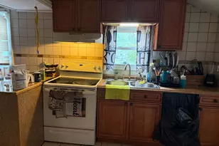 113 E Pacific Ave, Minotola, NJ 08341 - Photo 4