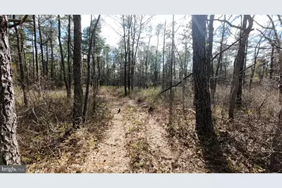 0 Holly Street, Mays Landing, NJ 08330 - Photo 12