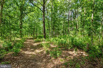 549 Jackson Road, Williamstown, NJ 08094 - Photo 34