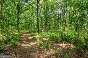 549 Jackson Rd, Williamstown, NJ 08094 - Photo 34