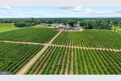 3416 Nesco Road, Hammonton, NJ 08037 - Photo 2