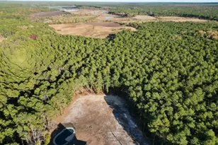 11 2nd Ave, Chatsworth, NJ 08019 - Photo 66