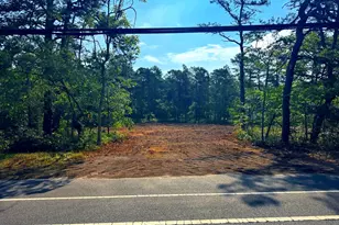 3994 Route 563, Chatsworth, NJ 08019 - Photo 4