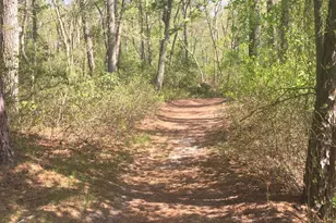 77 Wigwam Ct, Medford, NJ 08055 - Photo 32