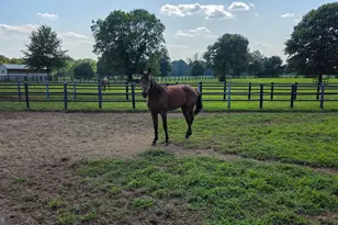 58 Sykesville Rd, Chesterfield, NJ 08515 - Photo 12