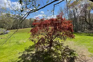 206 Burrs Mill Rd, Southampton, NJ 08088 - Photo 42