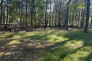 68 Briar St, Pemberton, NJ 08015 - Photo 2