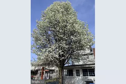 416 St. Mary's Street, Burlington, NJ 08016 - Photo 26