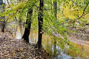 14 Iron Bridge Rd, Chesterfield, NJ 08515 - Photo 56