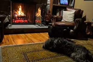 40 Cooper Tomlinson Rd, Medford, NJ 08055 - Photo 40