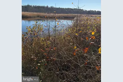 154 N Maple Avenue, Tuckerton, NJ 08087 - Photo 6