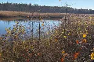 154 N Maple Ave, Tuckerton, NJ 08087 - Photo 6