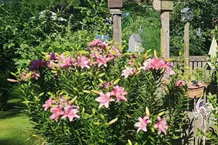 635 Laurel St, Delanco, NJ 08075 - Photo 36