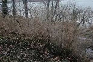 219 Front St, Fieldsboro, NJ 08505 - Photo 42