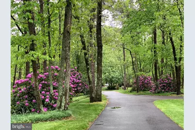 65 Bortons Road, Marlton, NJ 08053 - Photo 58