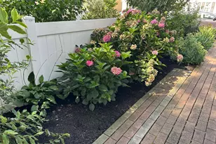 514 Prince St, Bordentown, NJ 08505 - Photo 34