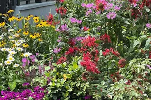 514 Prince St, Bordentown, NJ 08505 - Photo 46