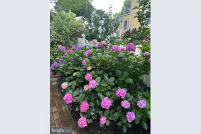 514 Prince Street, Bordentown, NJ 08505 - Photo 42