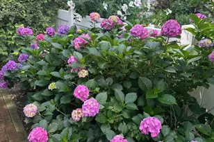 514 Prince St, Bordentown, NJ 08505 - Photo 42