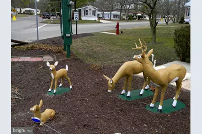 83 Holly Court, Tabernacle, NJ 08088 - Photo 42