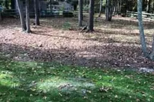 1 Dewberry Ct, Medford, NJ 08055 - Photo 30