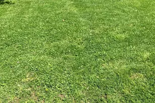 307 Fairview Ave, Moorestown, NJ 08057 - Photo 26