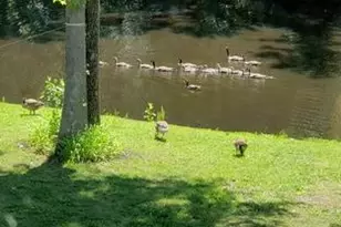 313 Barton Run Blvd, Marlton, NJ 08053 - Photo 20