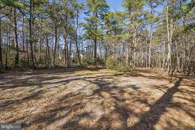 11 Cliff Swallow Drive, Medford, NJ 08055 - Photo 64