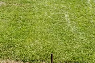 460 Station Rd, Florence, NJ 08554 - Photo 58