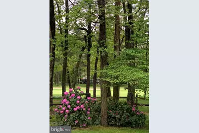 65 Bortons Road, Marlton, NJ 08053 - Photo 60