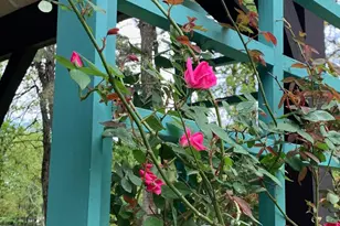 65 Bortons Rd, Marlton, NJ 08053 - Photo 58