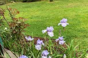 65 Bortons Rd, Marlton, NJ 08053 - Photo 58