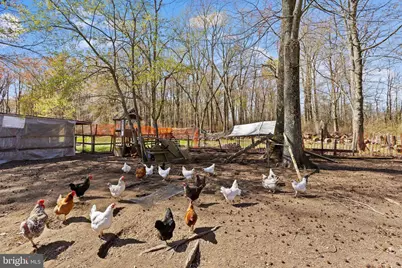 261 Mill Lane W, Mansfield Township, NJ 08022 - Photo 36