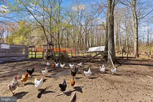 261 Mill Ln W, Mansfield Township, NJ 08022 - Photo 36