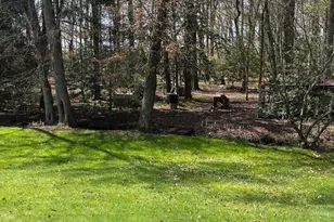 417 Medford Lakes Rd, Tabernacle, NJ 08088 - Photo 58