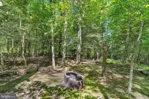 37 Skeet Rd, Medford, NJ 08055 - Photo 36