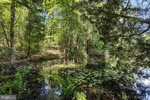 1 Braddocks Mill Ct, Medford, NJ 08055 - Photo 72