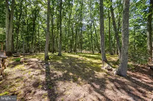 11 Pinecrest Dr, Medford, NJ 08055 - Photo 62