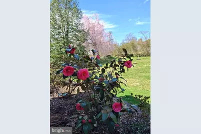 443 High Street, Mount Holly, NJ 08060 - Photo 38