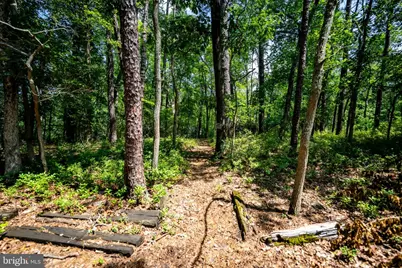 42 W Lake Road, Medford, NJ 08055 - Photo 40
