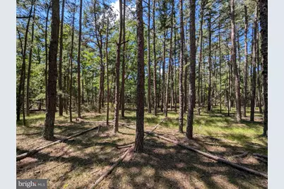 11 Beebe Lane, Southampton, NJ 08088 - Photo 2
