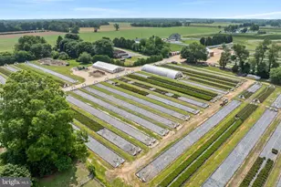 360 Harmony Rd, Bridgeton, NJ 08302 - Photo 20