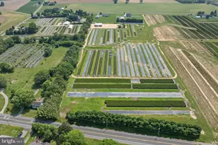 360 Harmony Rd, Bridgeton, NJ 08302 - Photo 18