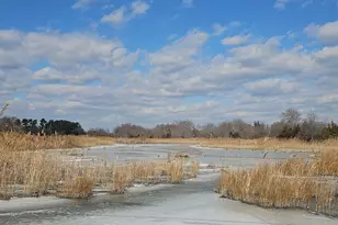 26 Market Ln, Greenwich, NJ 08323 - Photo 64