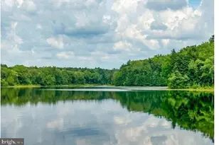 442 Shaws Mill Rd, Newport, NJ 08345 - Photo 38