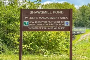 442 Shaws Mill Rd, Newport, NJ 08345 - Photo 34