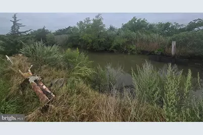 7021 Miller Avenue, Port Norris, NJ 08349 - Photo 10