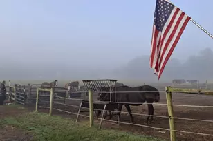 81 Old Deerfield Pike, Bridgeton, NJ 08302 - Photo 8